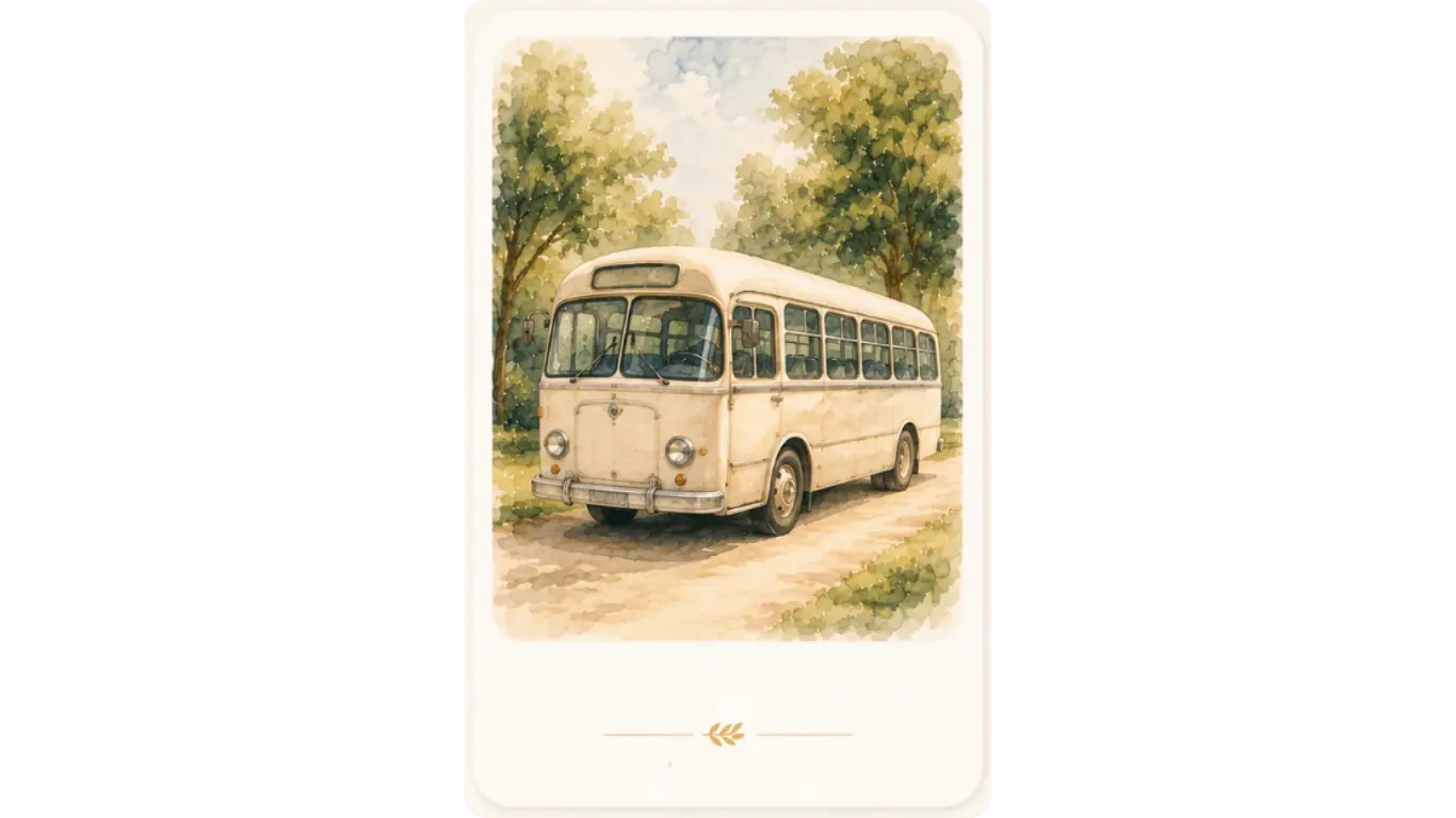 Transporte de regreso